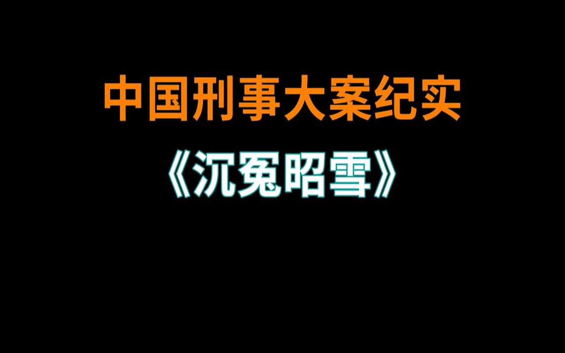 《沉冤昭雪》  刑事大案纪实  大案要案记录哔哩哔哩bilibili