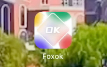 foxok好用的浏览器(可安装脚本)ios应用哔哩哔哩bilibili