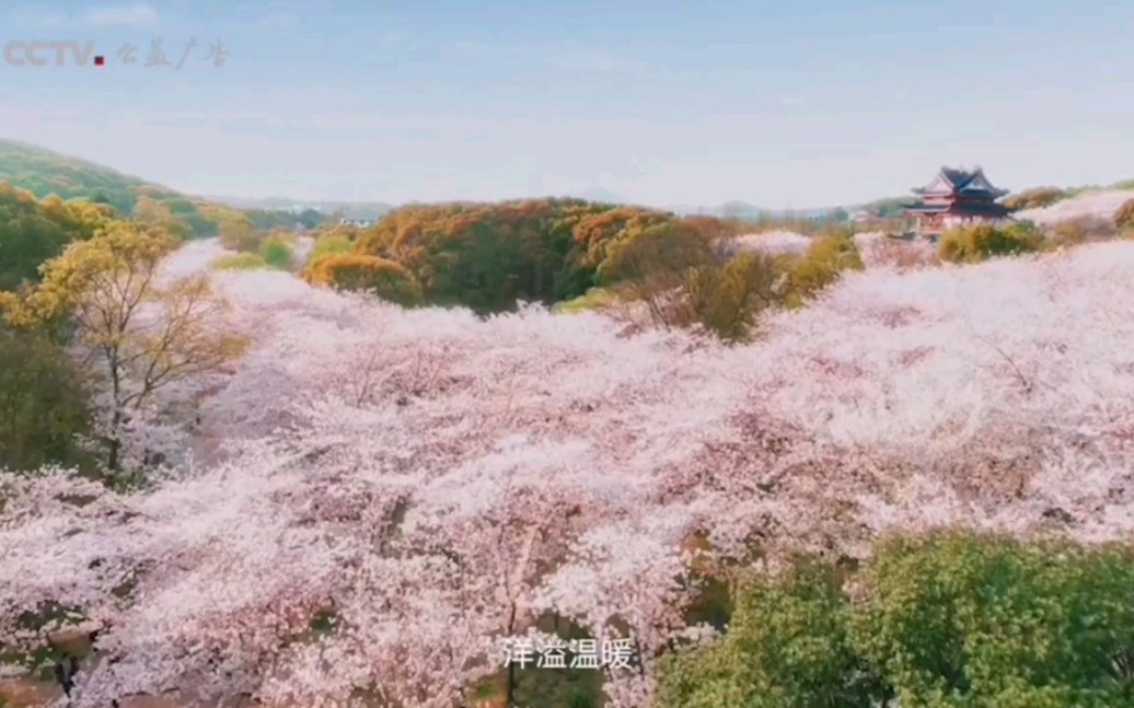 [图]【CCTV公益传播】二十四节气系列公益广告《天地有节 风雅中华》（春分篇）