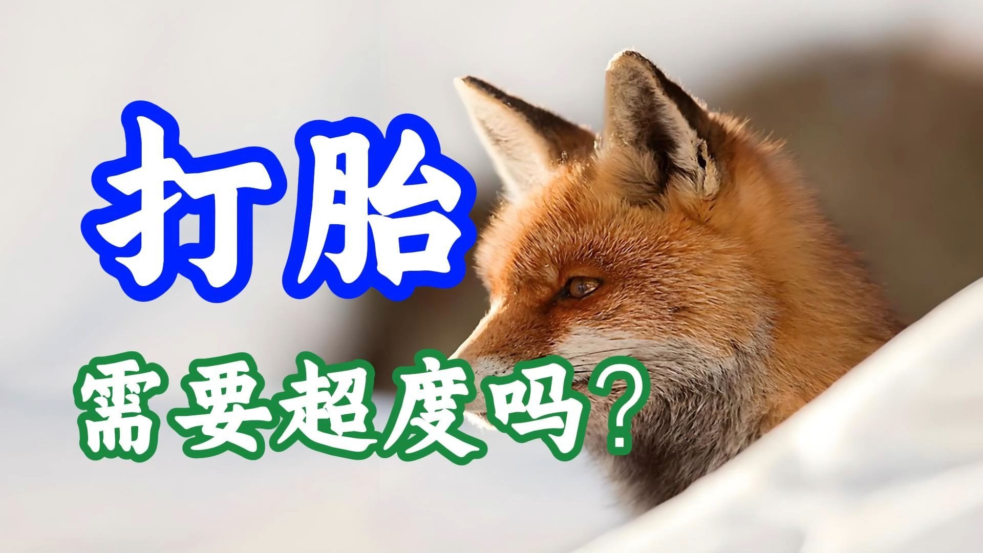 堕胎得婴儿多久能超度-堕胎胎儿多久会投胎转世