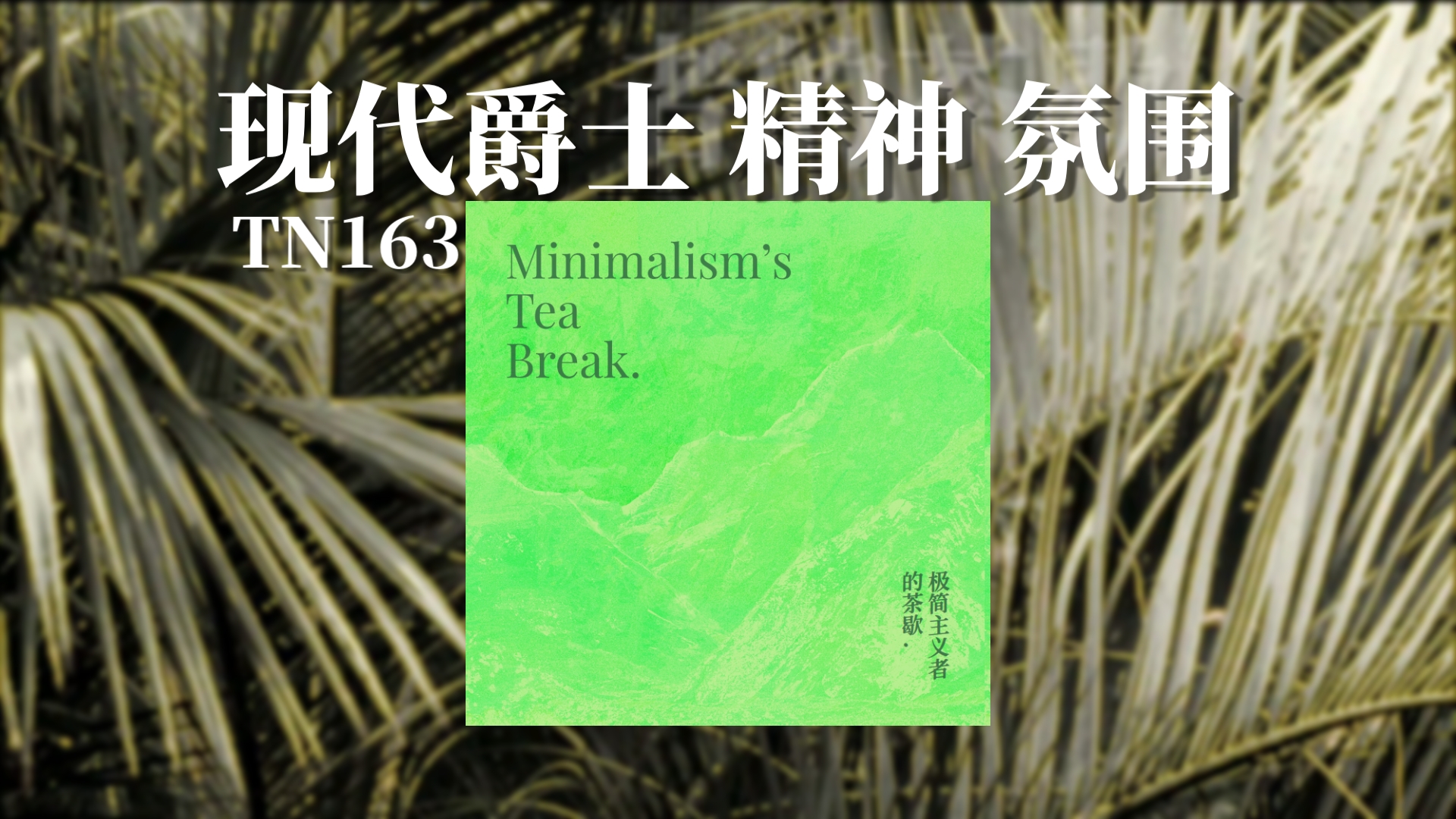 「今天谁发了新专辑？」现代/精神爵士 极简 氛围｜极简主义者的茶歇——TN163｜b站首发