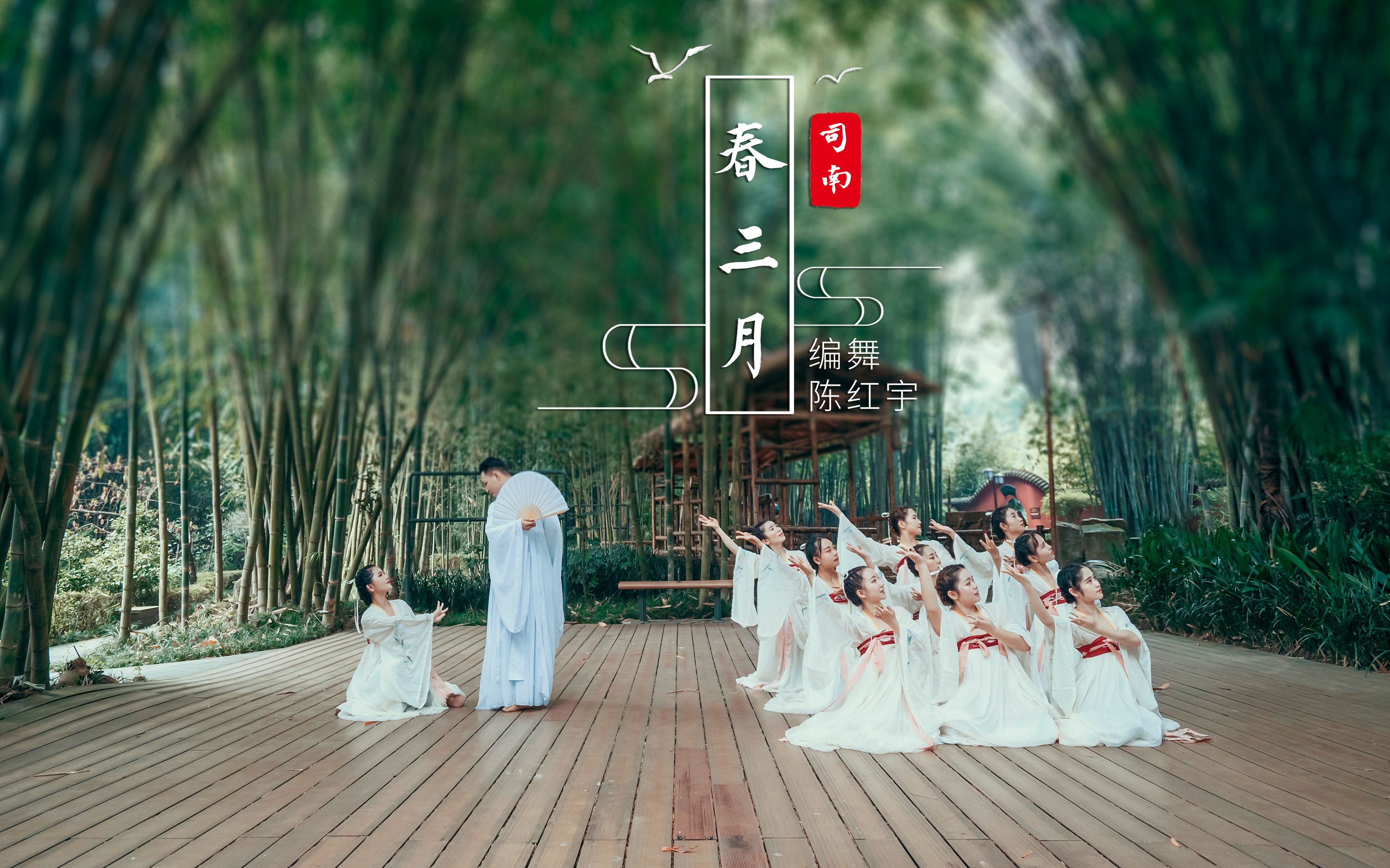 活动作品小清新古典舞春三月治愈系甜向单色舞蹈成都零基础中国舞班