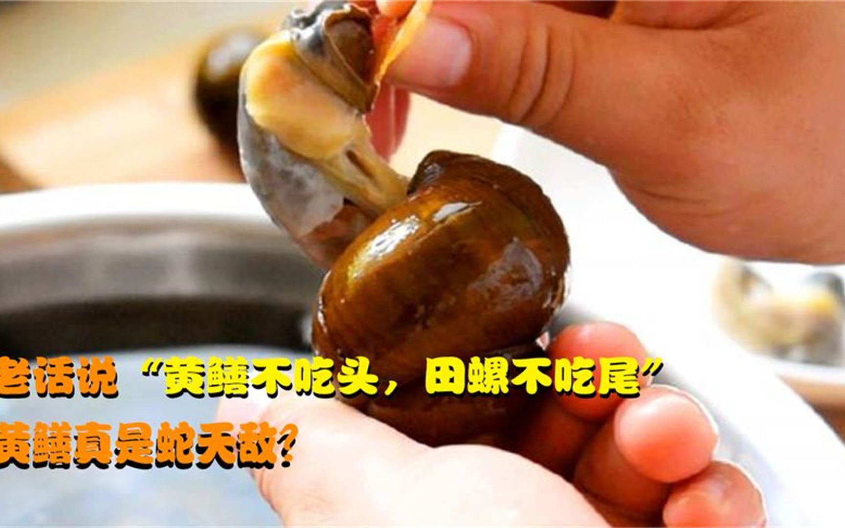 老话"黄鳝不吃头,田螺不吃尾",为什么不能吃?其中有何道理?