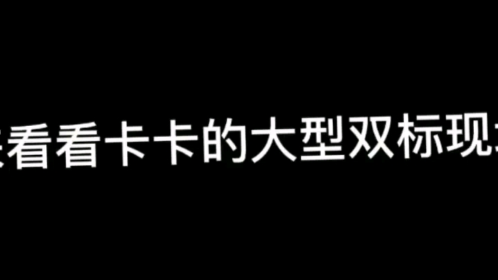 [图]卡米尔的大型双标现场