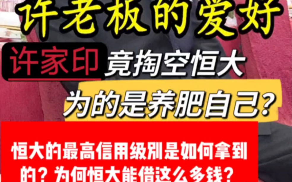 许家印家族往事:①各高管掏空恒大为的是养肥自己?②恒大为何能向银行贷出这么多钱?最高的信用评级是如何来的?哔哩哔哩bilibili