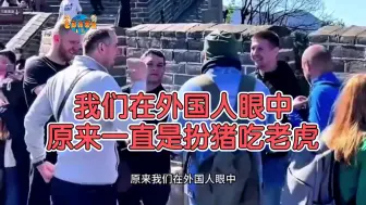 Скачать видео: 我们在外国人眼中原来一直是扮猪吃老虎，天天欺负别人呀。