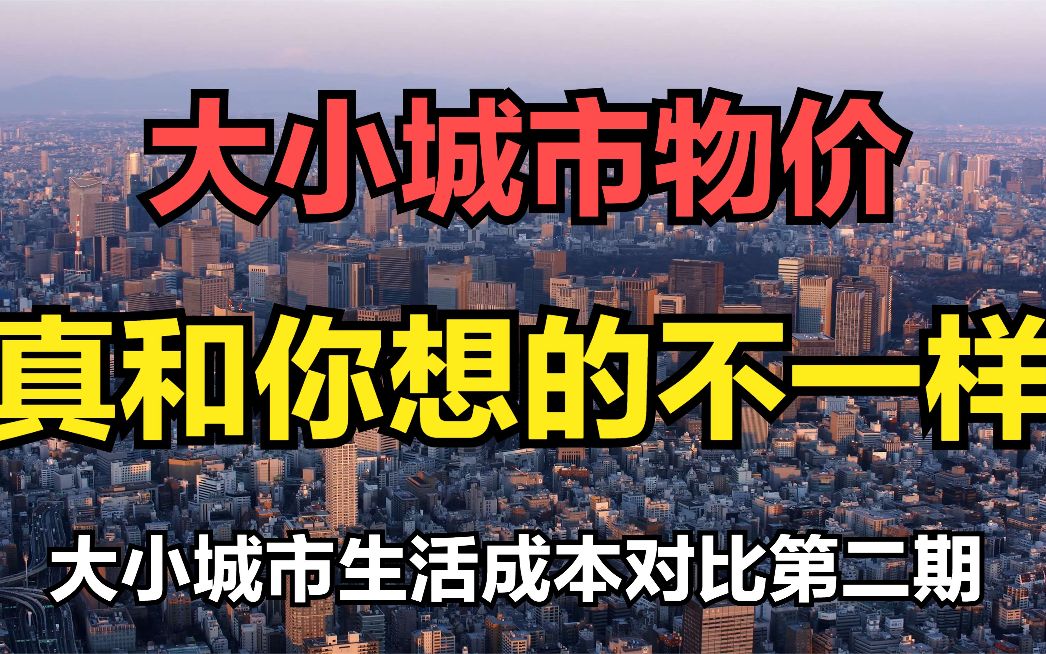 想不通,为何小城市物价赶上大城市了?其实小城市本就没理由便宜哔哩哔哩bilibili