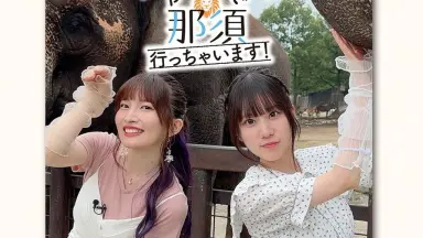 紫月杏朱彩＆梅澤めぐ オフ旅さんぽDVD ふたりで那須行っちゃいます！ 駿河屋 -<中古>紫月杏朱彩＆梅澤めぐ オフ旅さんぽ ふたりで那須行っ