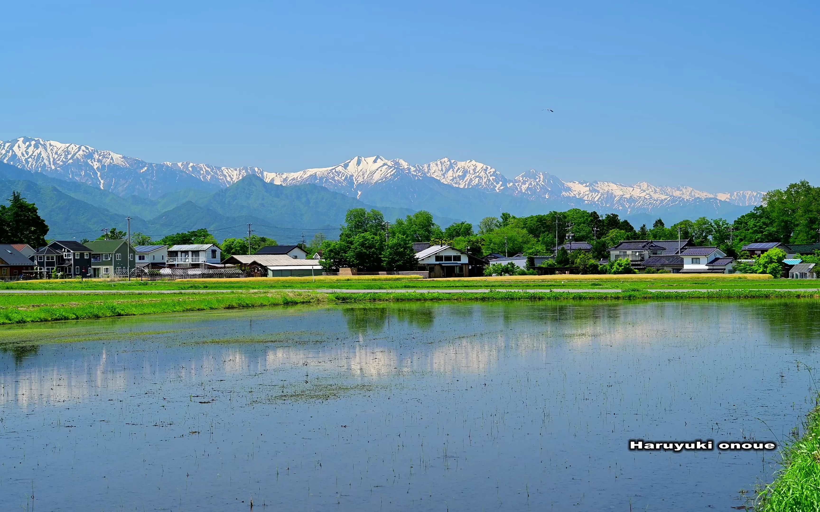 【日本风景】美丽的信州初夏风景