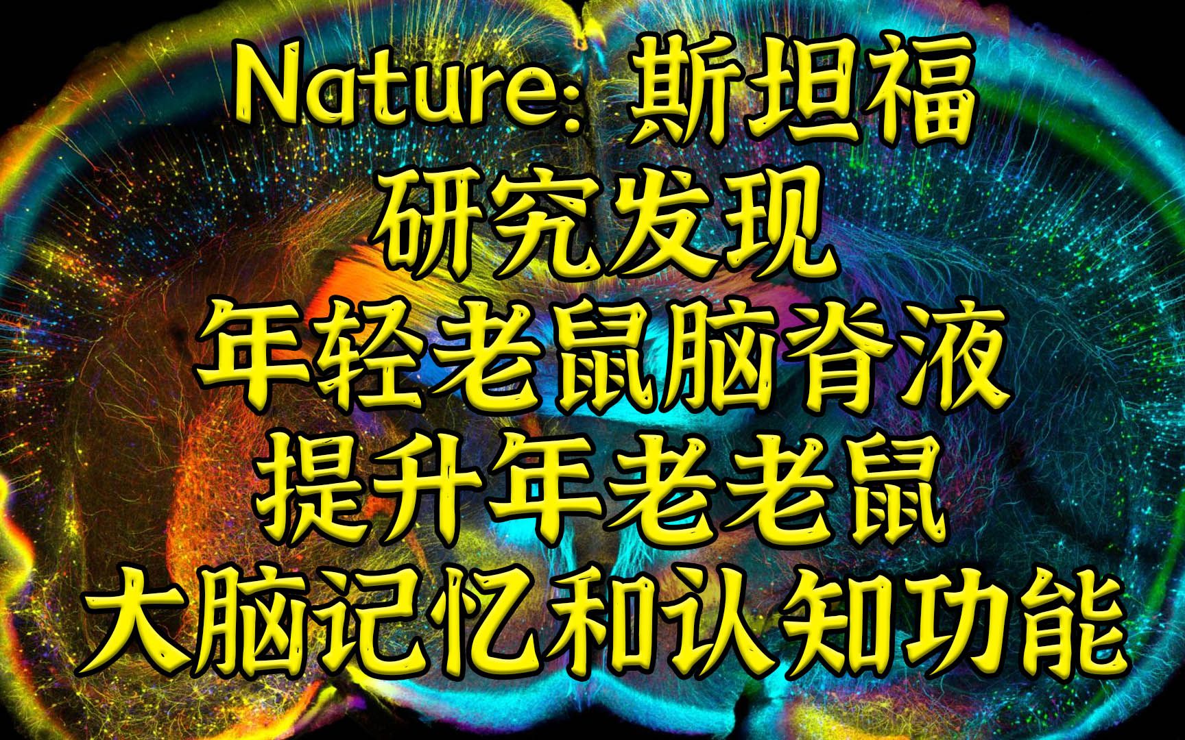 [图]Nature: 返老还童又来了 年轻老鼠脑脊液提升年老老鼠大脑功能