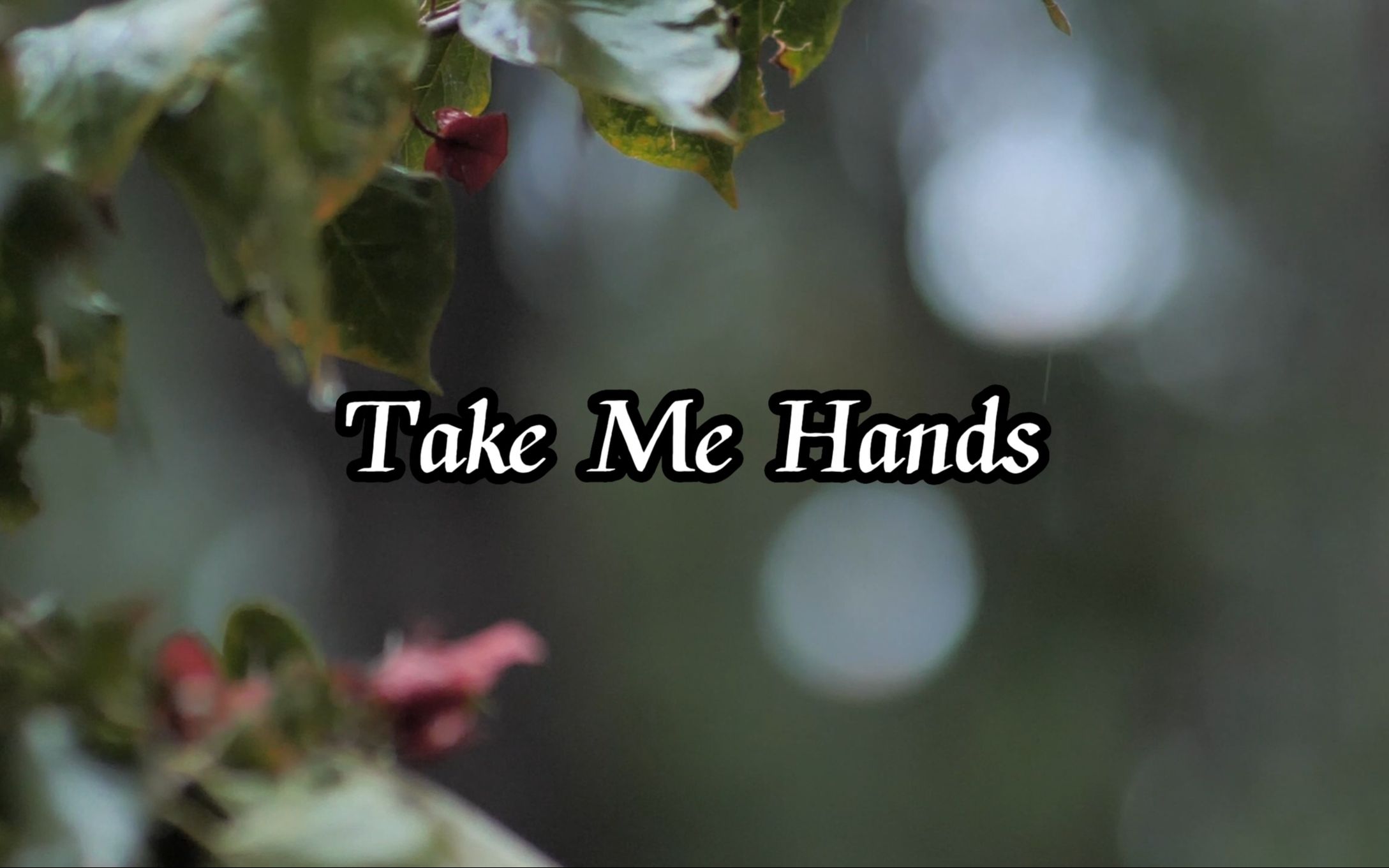 [图]优美如画一般的爱情《Take Me Hands》歌词写到了我的心里