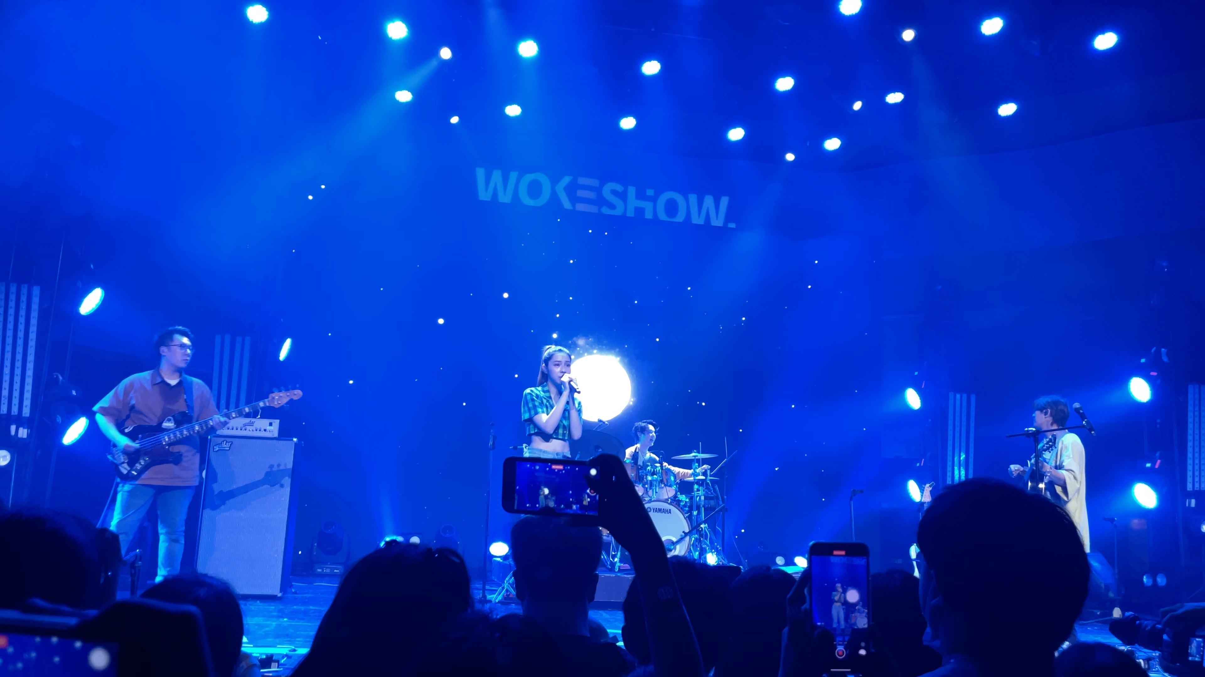 告五人犬青太美了