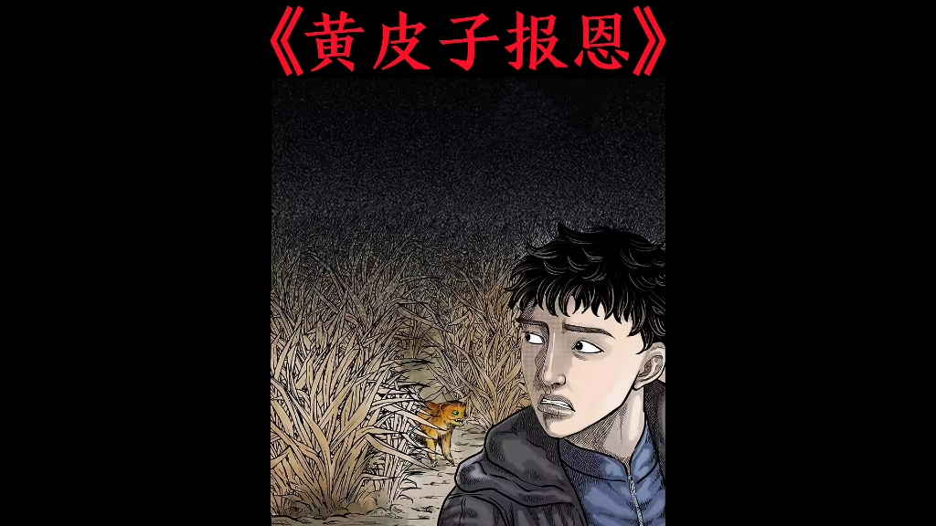 [图]睡前故事--《黄皮子报恩》＃漫画解说＃民间怪谈＃睡前必看