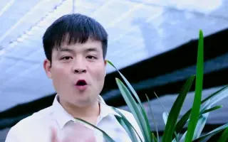 知花碧 哔哩哔哩 Bilibili