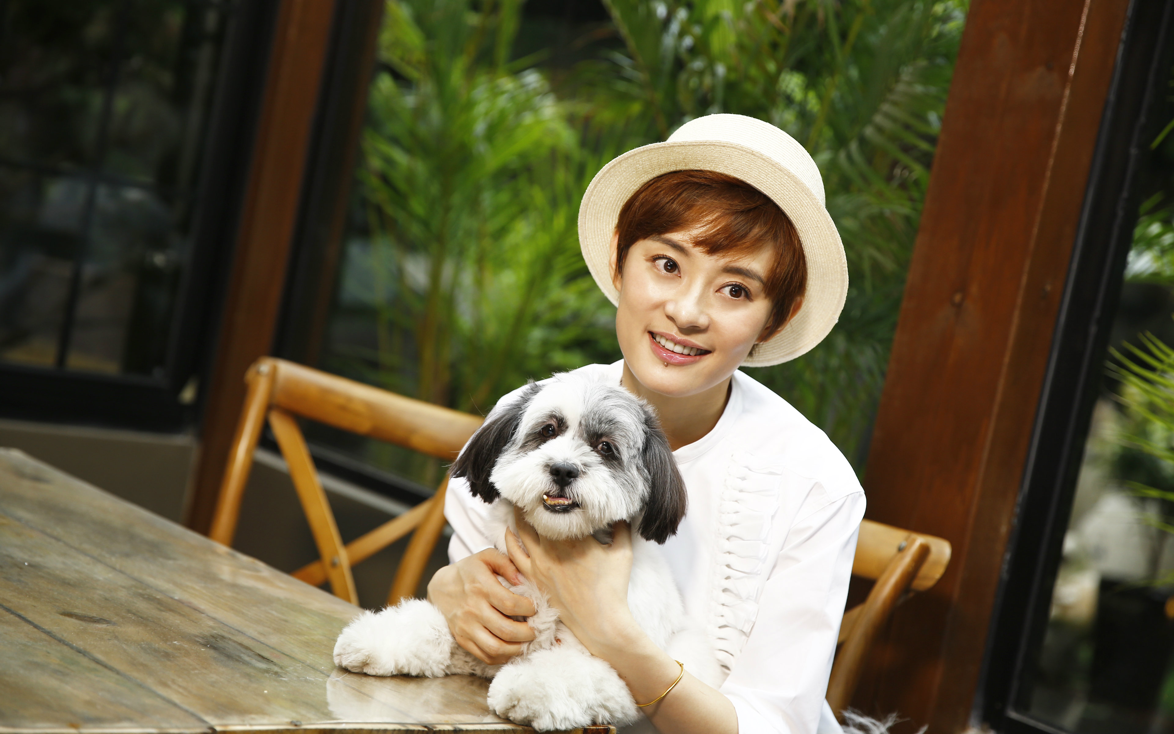 和孙俪一起关爱流浪动物