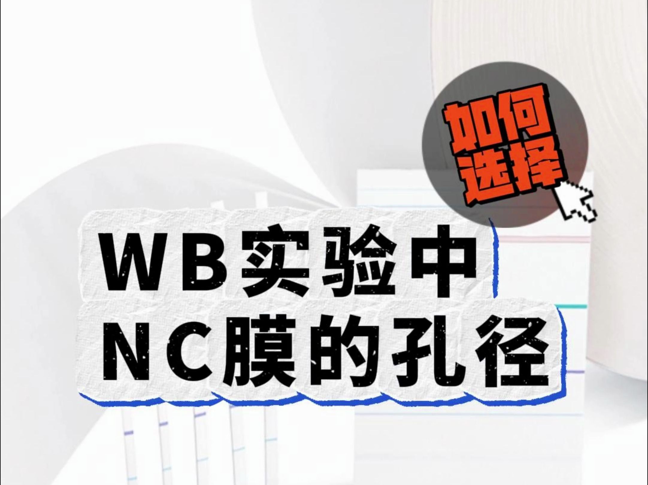 WB实验中,NC膜的孔径如何选择?哔哩哔哩bilibili