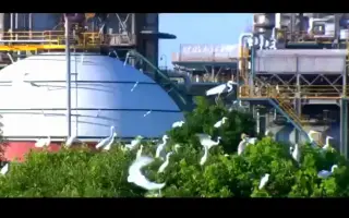 小康短视频宁波石化开发区美丽园区