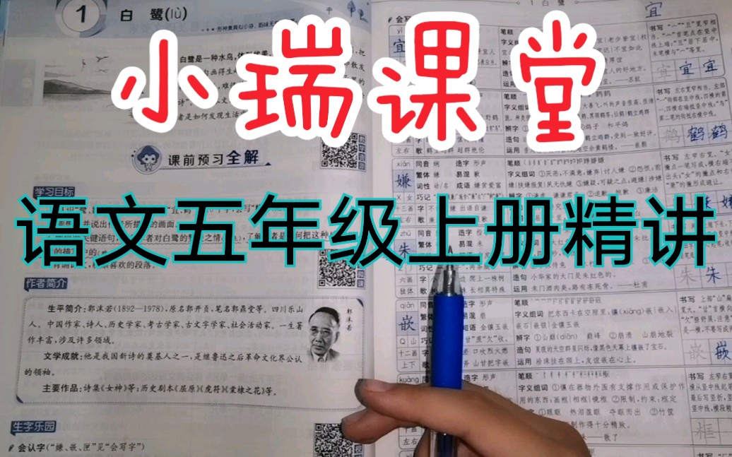 语文五年级上册《白鹭》的学习内容,小瑞讲解的哦!哔哩哔哩bilibili