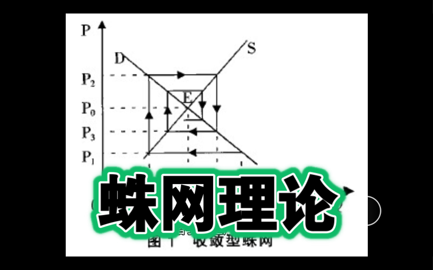 蛛网理论与农产品价格周期性波动哔哩哔哩bilibili