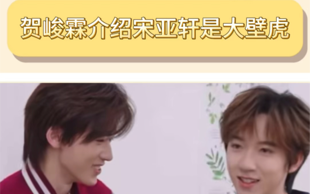 贺峻霖介绍宋亚轩是大壁虎这段也太搞笑了吧