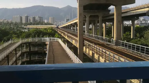 Z201次通过西江大桥（8月2日）