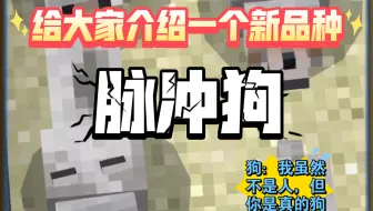 发现新品种：脉  冲  狗  ！！！