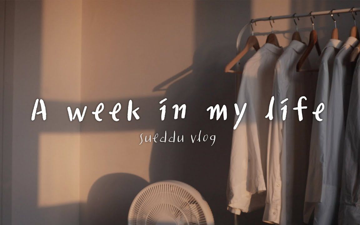 【sueddu】自由职业者的一周生活 / A week in my life 2020.10.10更新哔哩哔哩bilibili