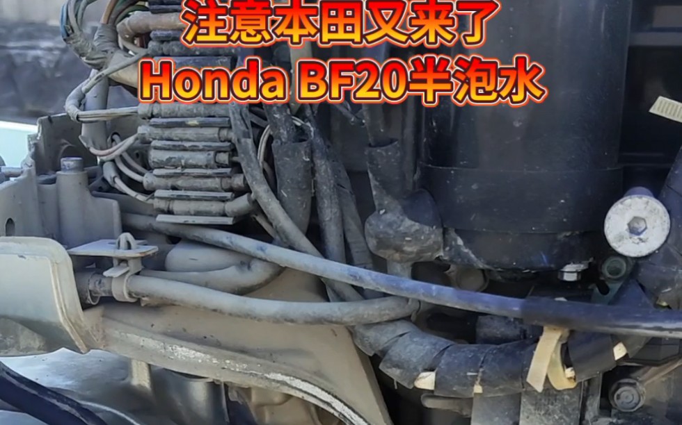 Honda BF20半泡水船外机整备维护 #船外机维修 #热门 #工程机械第一现场哔哩哔哩bilibili