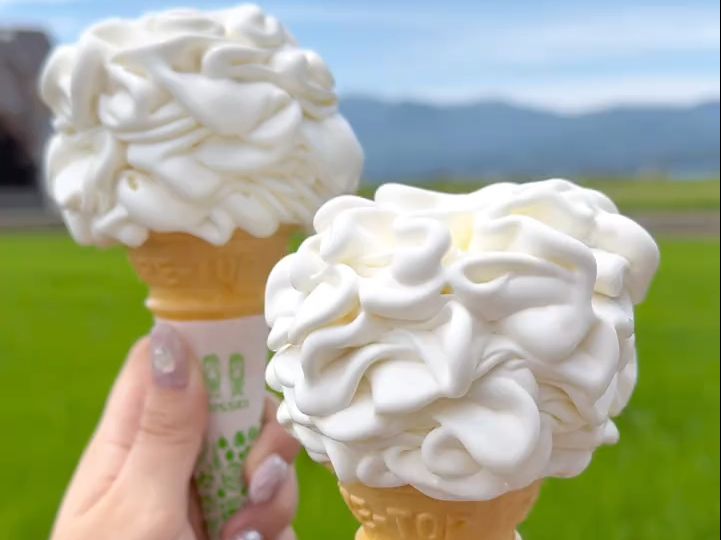 冰激凌也太丝滑了