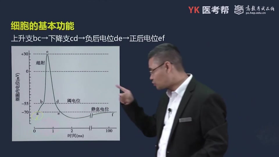 [图]22版西综生理学精讲动作电位、实战演练