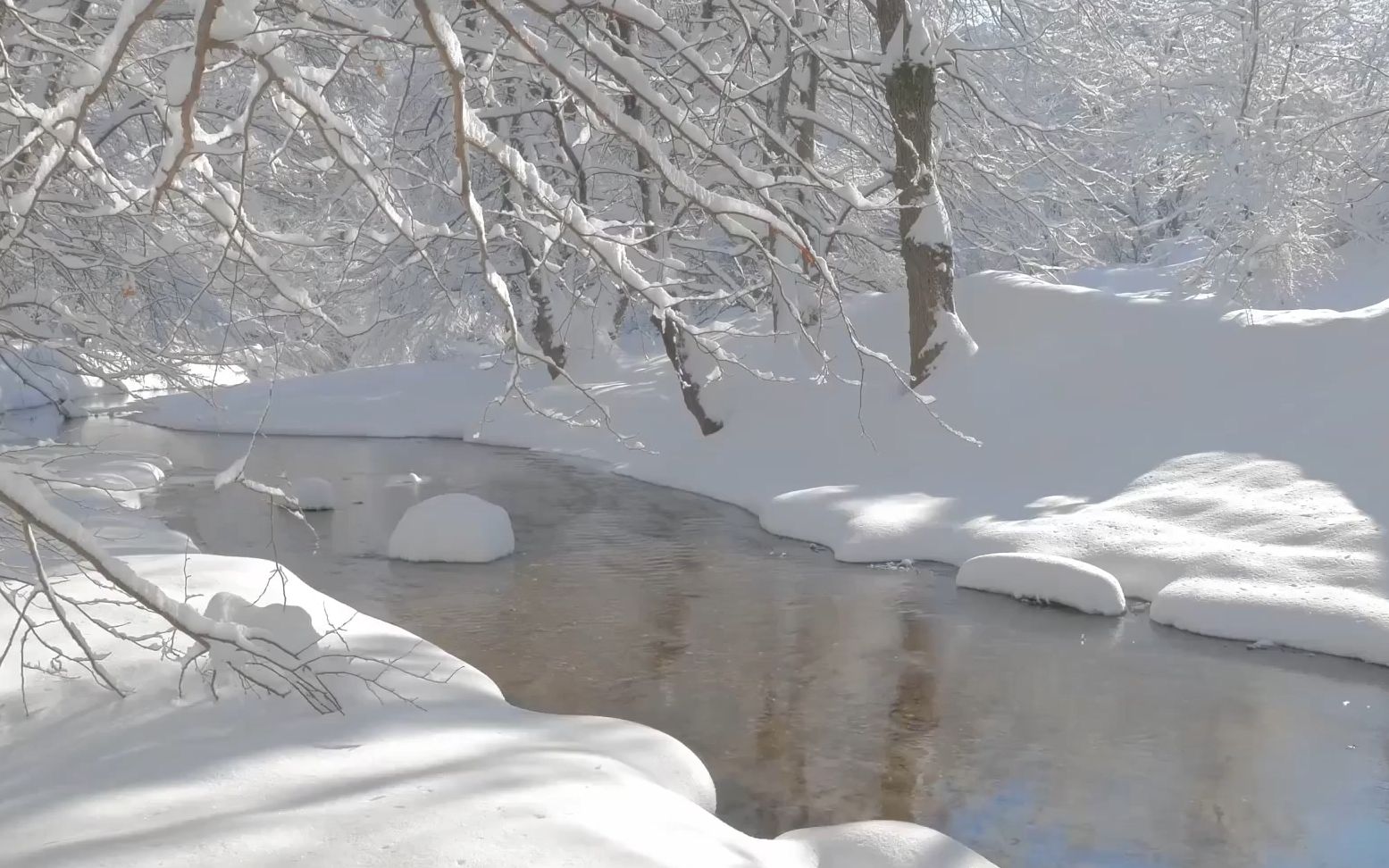 e723 唯美冰雪世界下雪雪花飘落冬季冬天雪景雪松森林雪景白雪皑皑冰天雪地圣诞节婚庆结婚婚礼大屏幕WUT LED背景视频素材哔哩哔哩bilibili