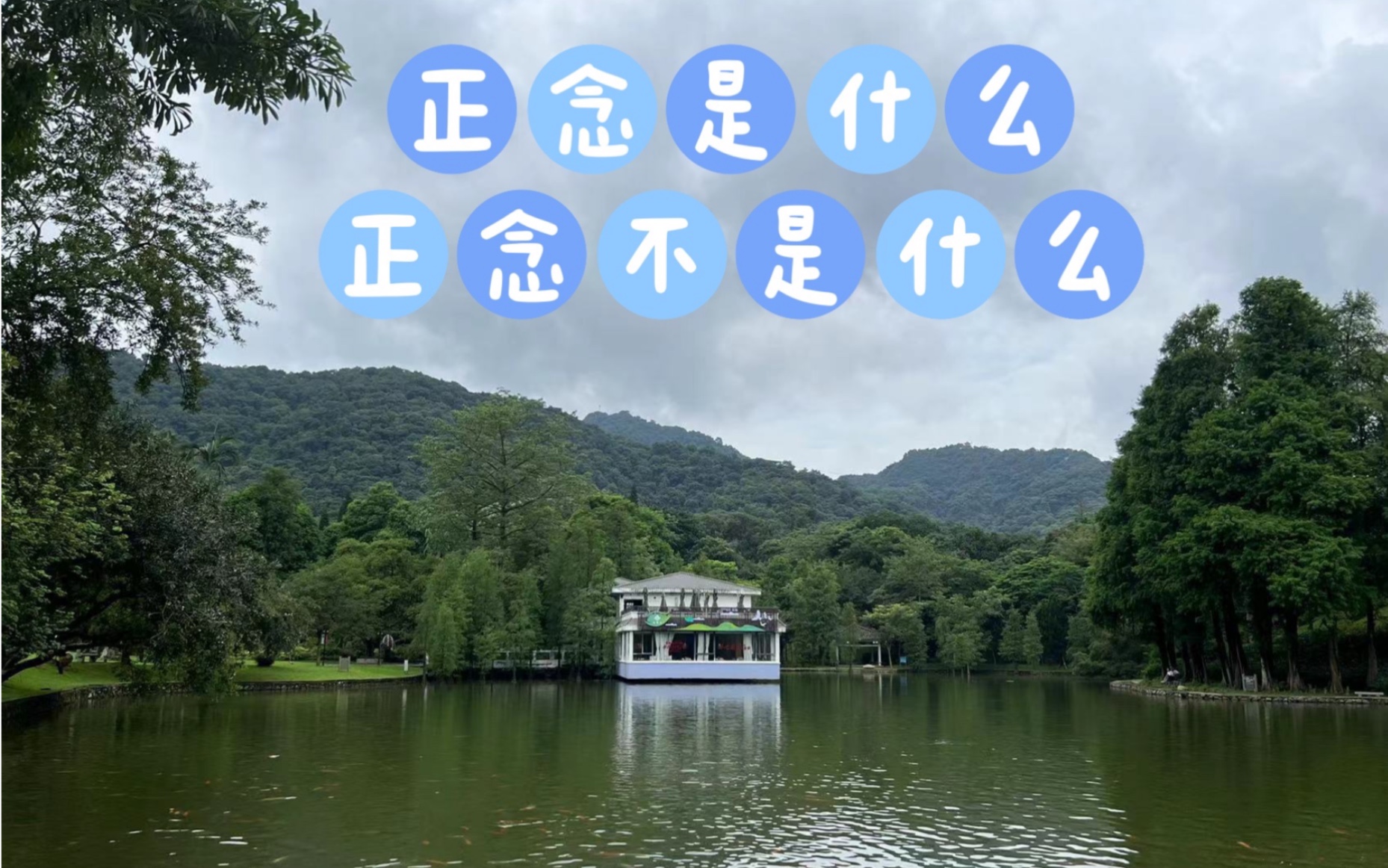 正念是什么正念不是什么