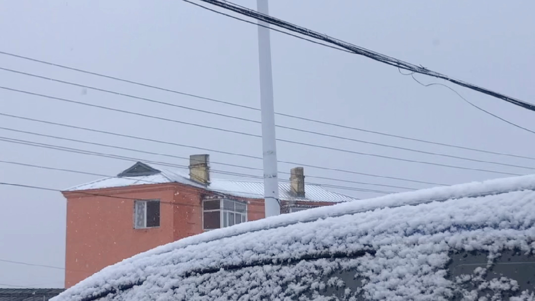 [图]拉开窗帘看见雪，超兴奋！