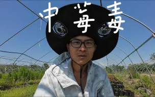 我中莓毒了