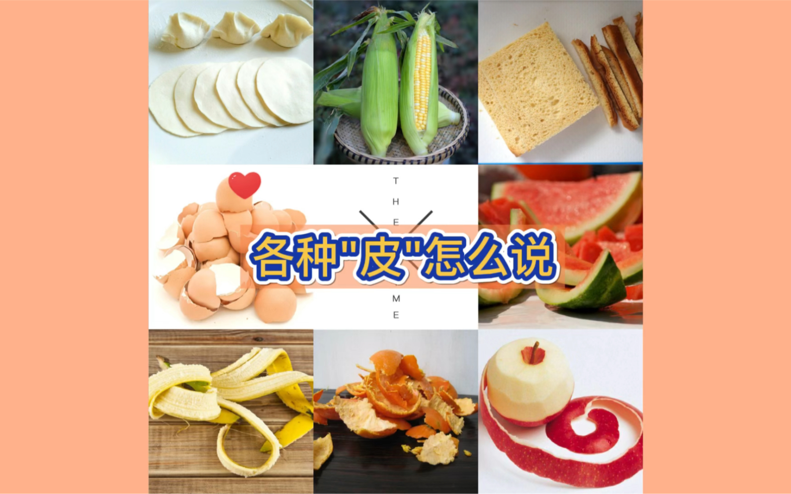 【主题英语】各种食物的“皮”怎么说哔哩哔哩bilibili