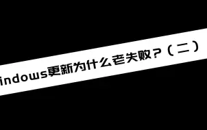 Download Video: 《电脑教程》Windows更新为什么老失败？（二）