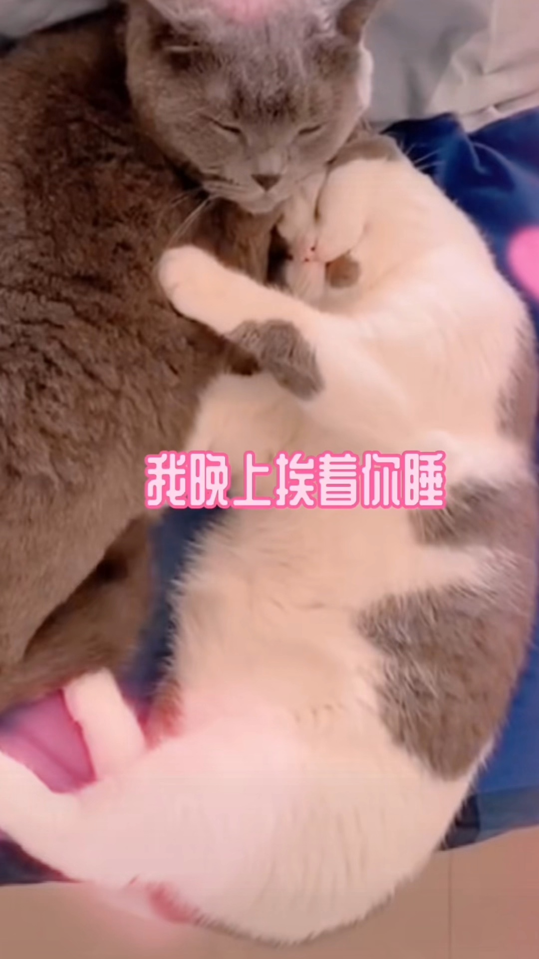 一起睡哔哩哔哩bilibili