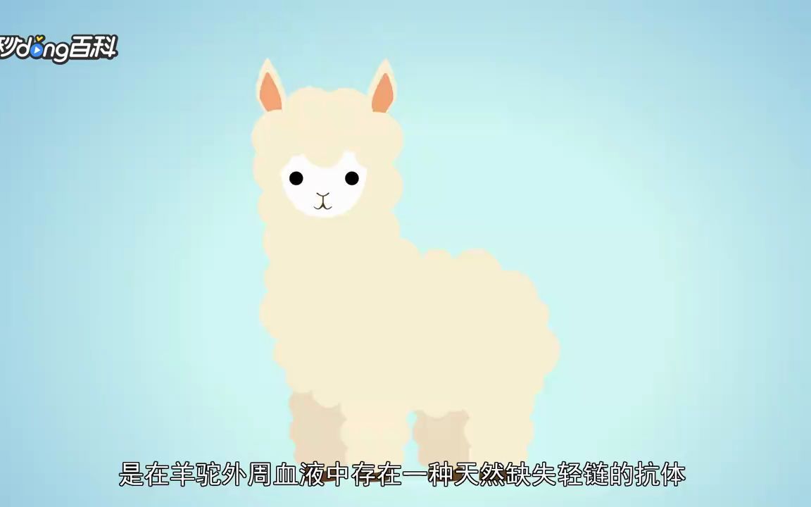 纳米抗体哔哩哔哩bilibili