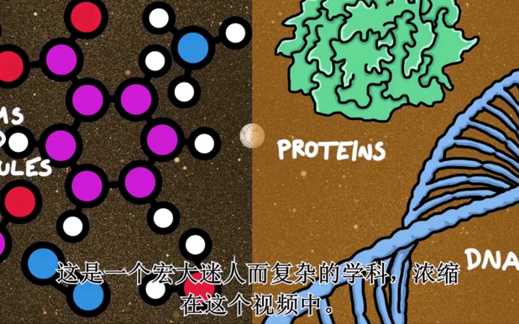 化学起源~化学简介.Chemistry and how it develops哔哩哔哩bilibili