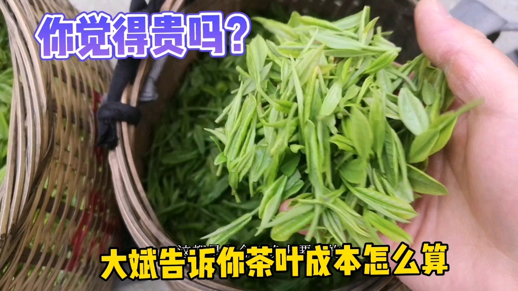 你知道安吉白茶是怎么定价的吗?大斌解密茶农直销定价模式,你觉得贵吗?哔哩哔哩bilibili