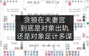 贪狼在夫妻宫是对象出轨还是对象足计多谋