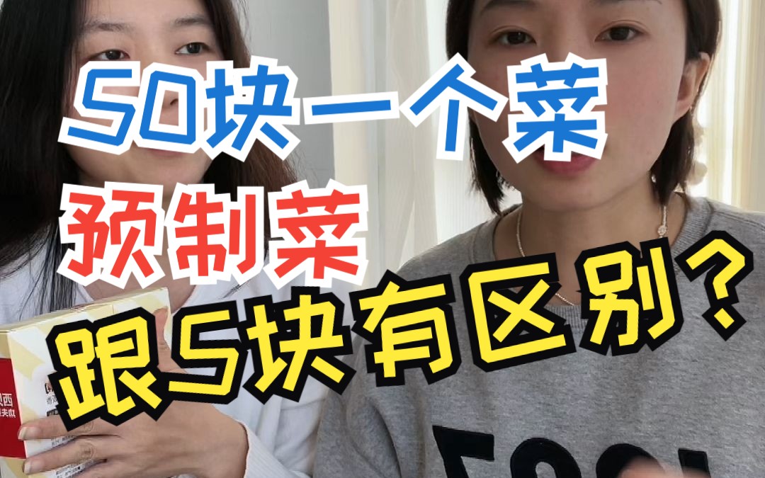 西贝预制菜测评哔哩哔哩bilibili