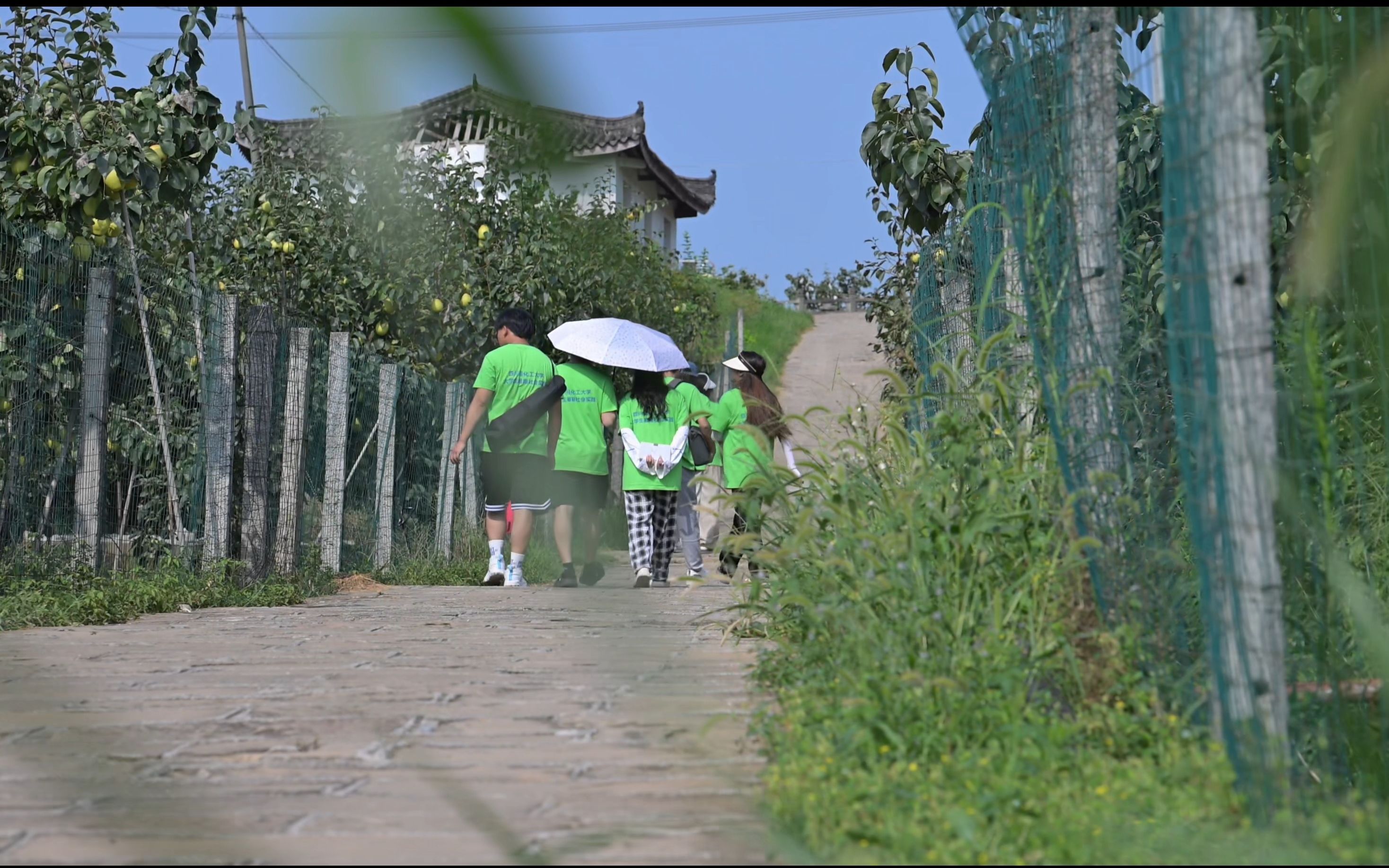 [图]四川轻化工大学—弘法沧澜团队—青春三下乡，筑梦正当时，一场美丽的乡村之约