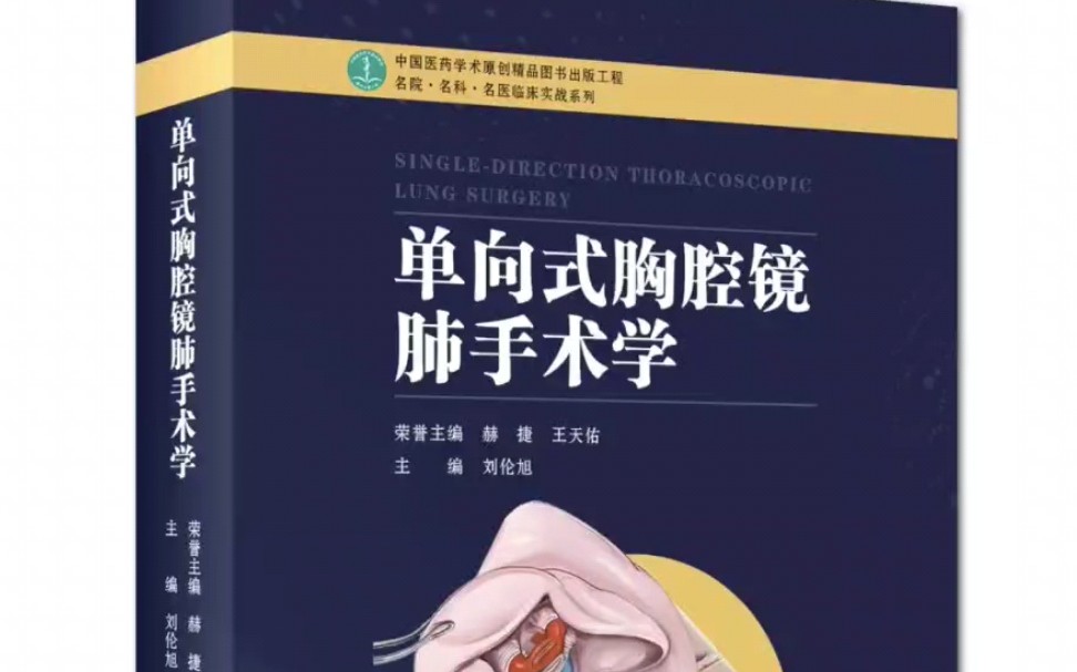 【高清PDF】单向式胸腔镜肺手术学刘伦旭主编哔哩哔哩bilibili