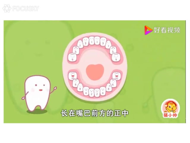 ourteeth保护牙齿哔哩哔哩bilibili