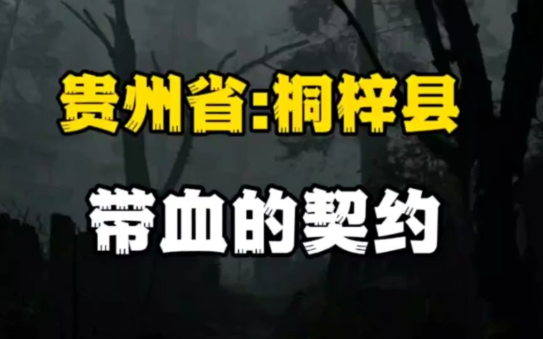 [图]贵州省:桐梓县 带血的契约臭宝准备好了么？我们进入案发现场！