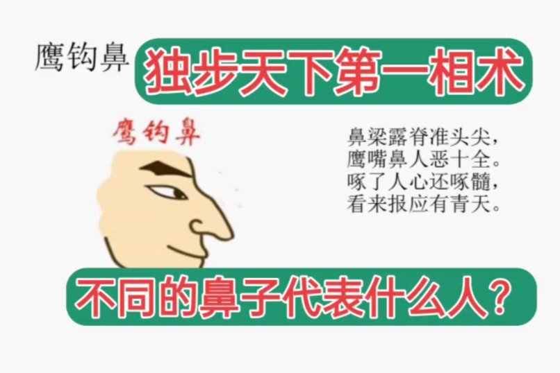 独步天下第一相术之安徽相法看鼻子代表什么?是阴险狡诈还是一身正气!哔哩哔哩bilibili