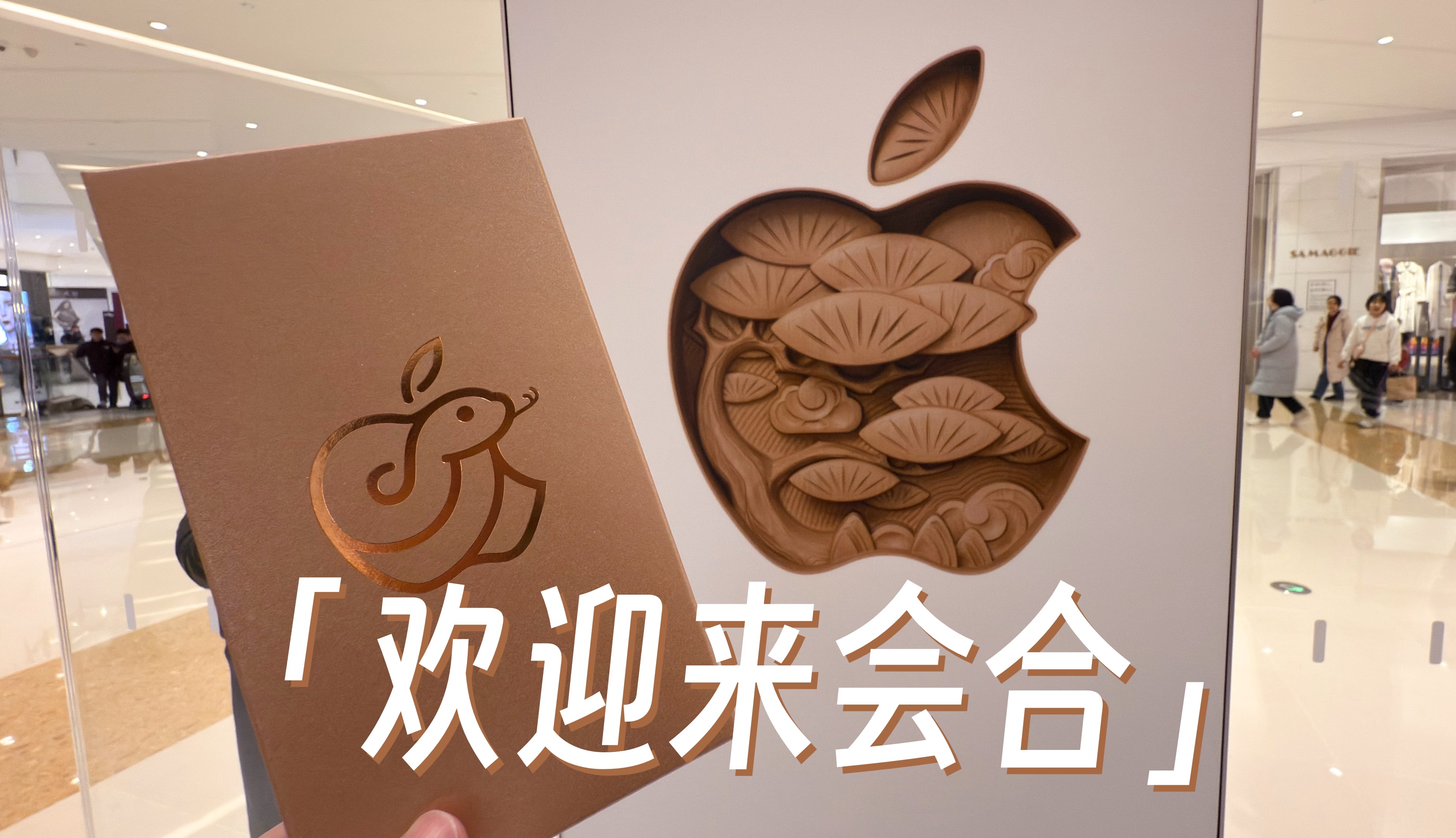 合肥Apple开业: 安徽人买iPhone再也不用跑南京!哔哩哔哩bilibili