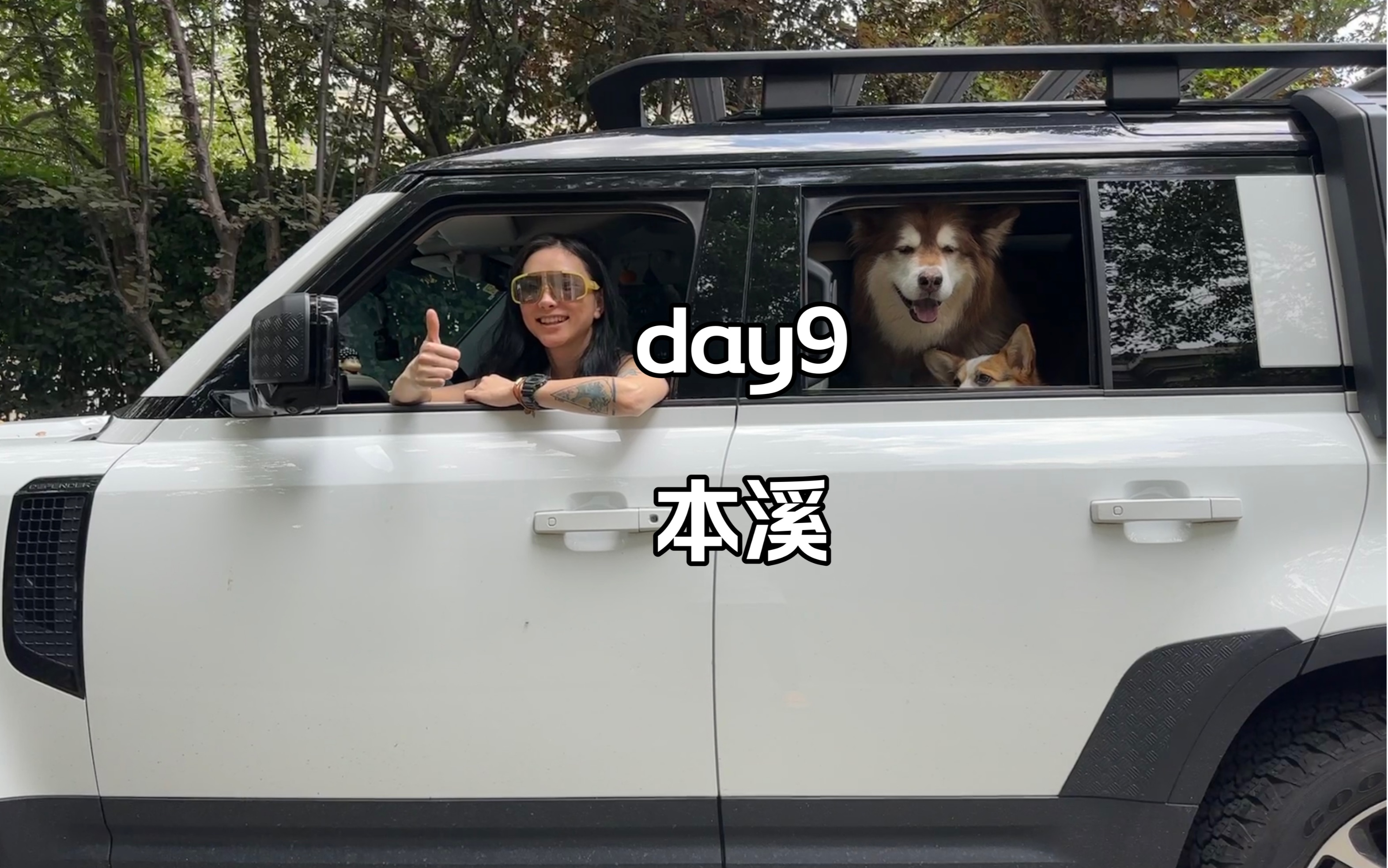 DAY9 本溪哔哩哔哩bilibili