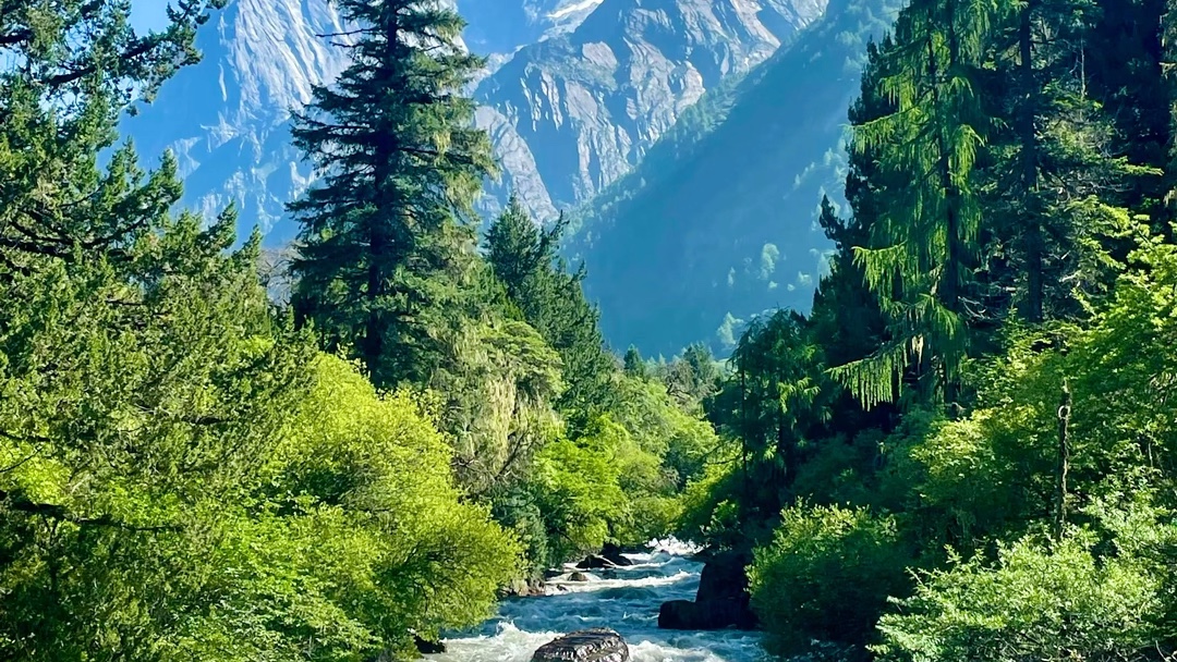 任何值得去的地方都没有捷径